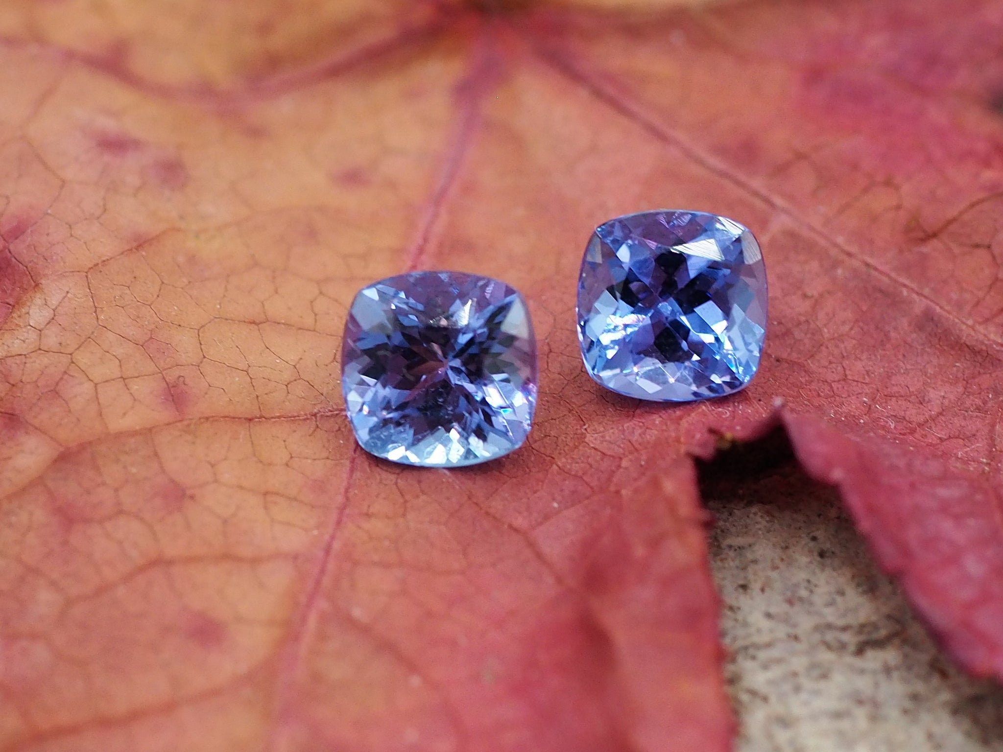 Tanzanites, apparaige pour boucles d'oreilles, le tout pèse 2,24 carats