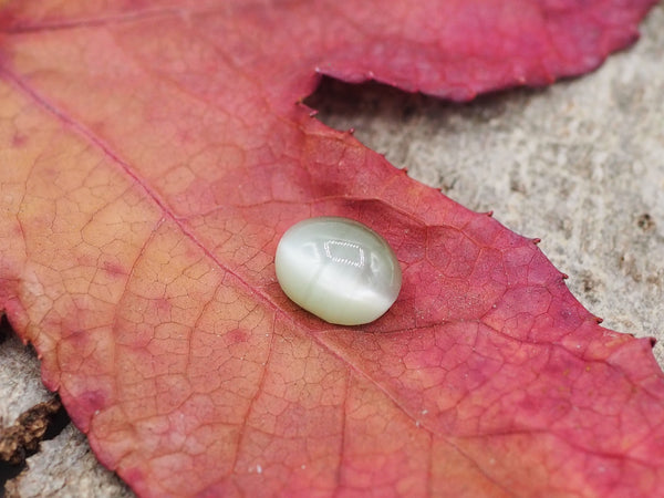 Chrysobéryl oeil de chat de 2,55 carats
