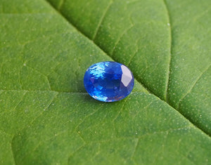 Saphir du Sri Lanka de 1,74 carats