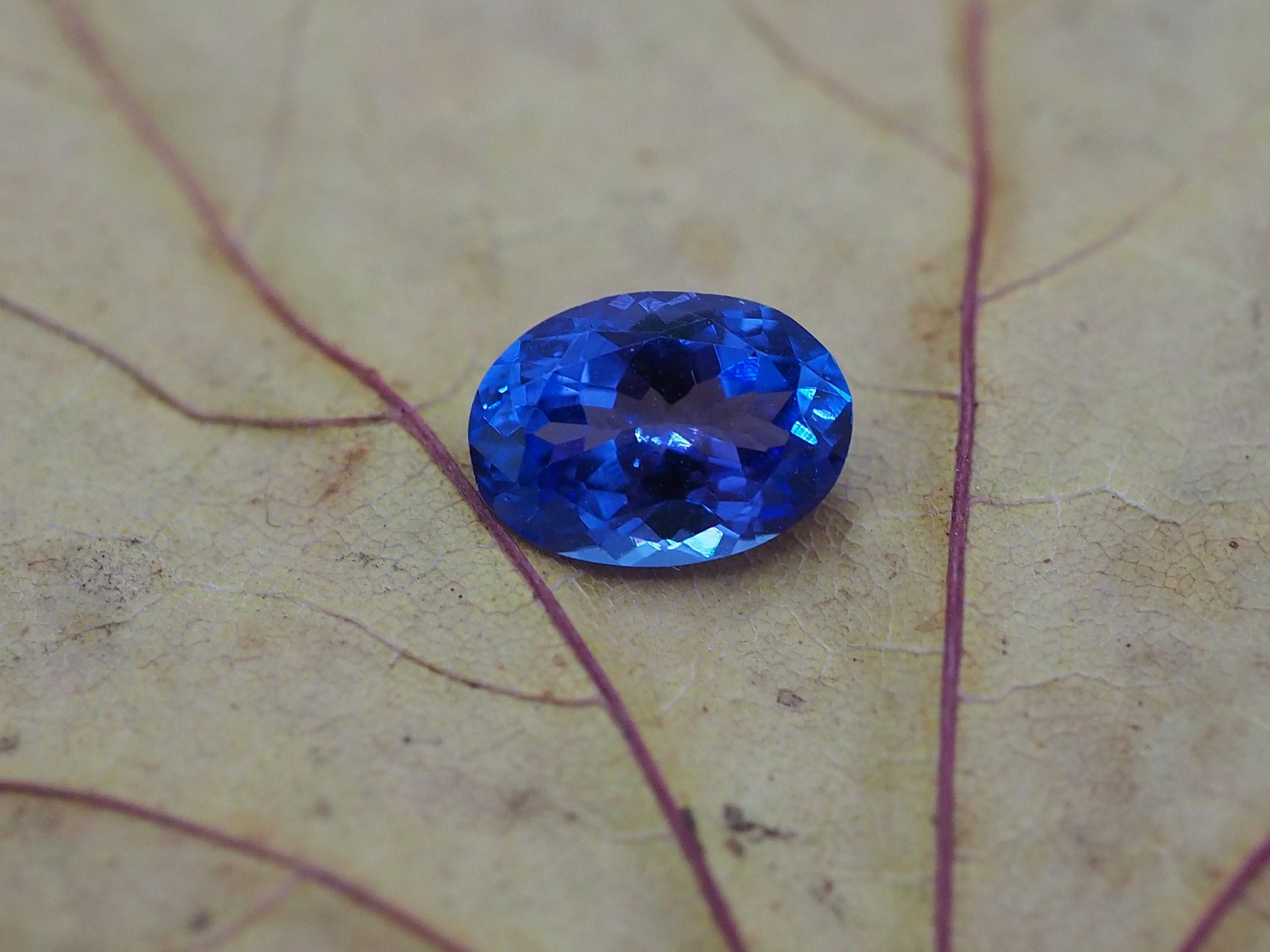 Tanzanite taille ovale de 1,11 carats